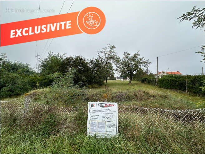 Terrain à NEUVY-EN-SULLIAS