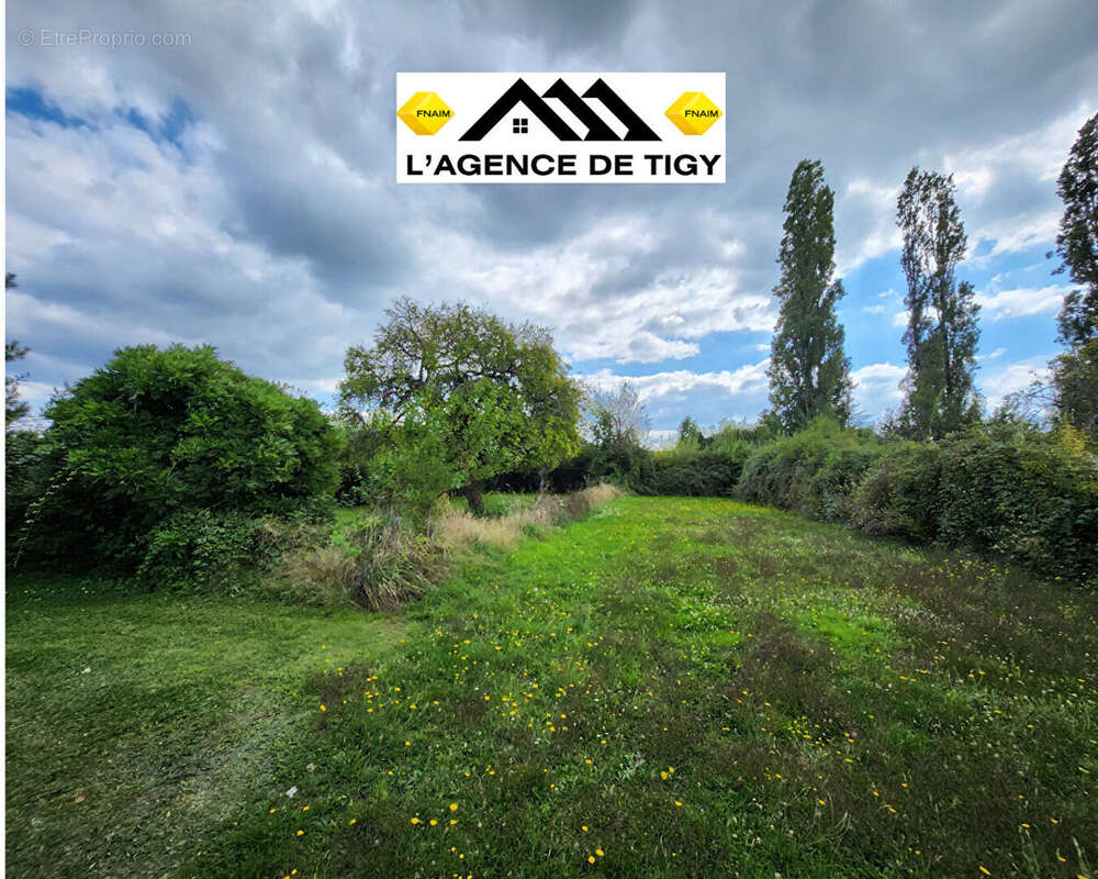 Maison à VILLEMURLIN