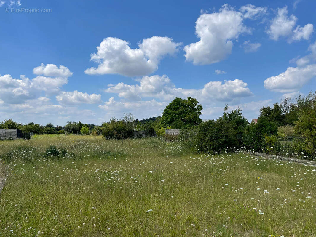 Terrain à GUILLY