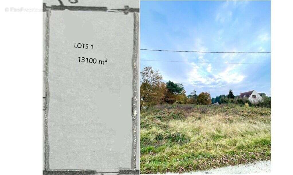 Terrain à NEUVY-EN-SULLIAS