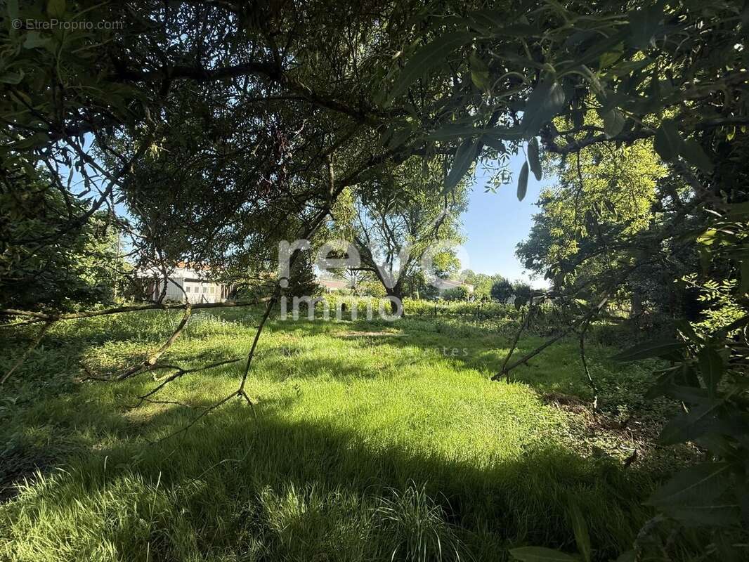 Terrain à L&#039;HERBERGEMENT