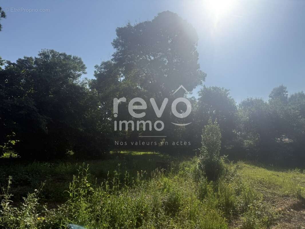 Terrain à L&#039;HERBERGEMENT