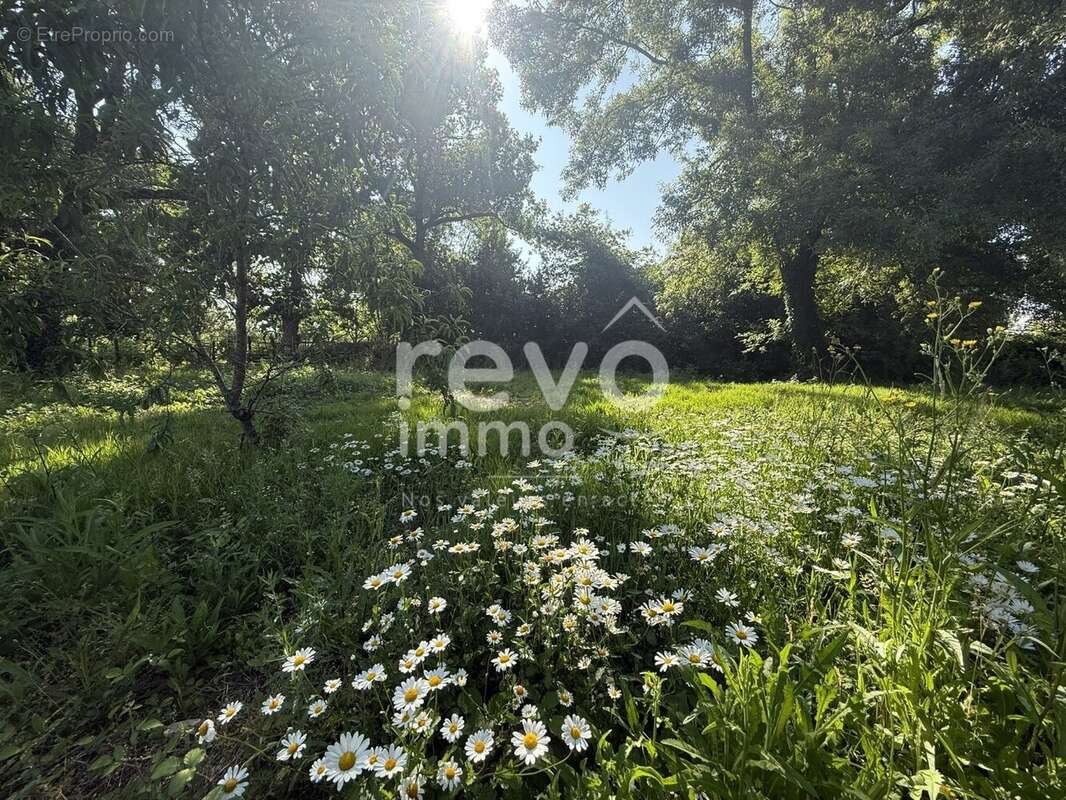 Terrain à L&#039;HERBERGEMENT