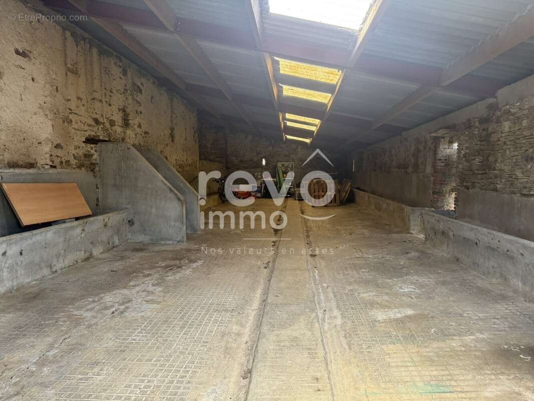 Maison à VIEILLEVIGNE