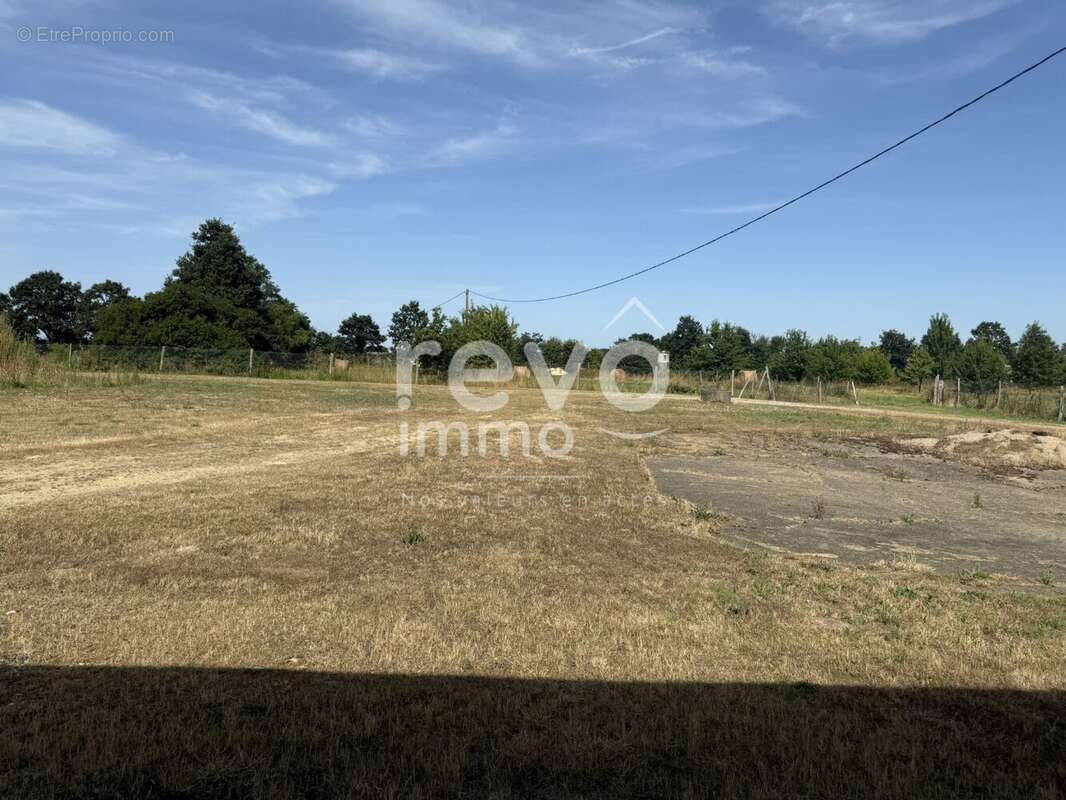 Maison à VIEILLEVIGNE