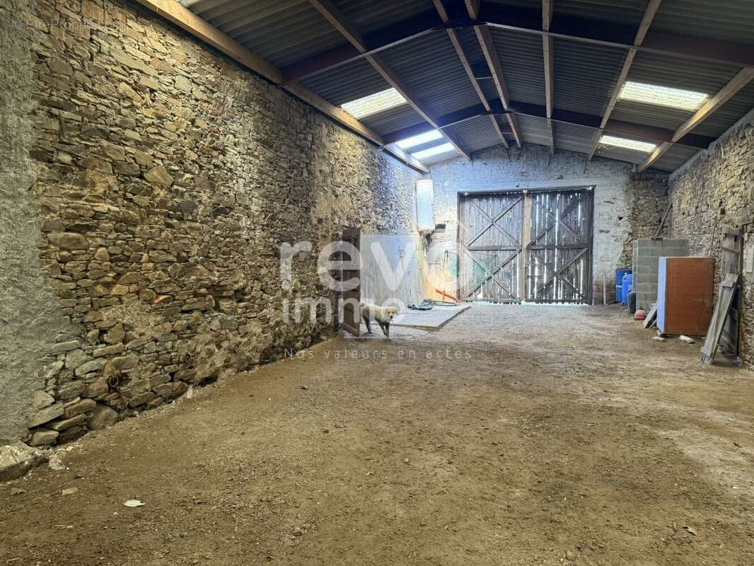 Maison à VIEILLEVIGNE