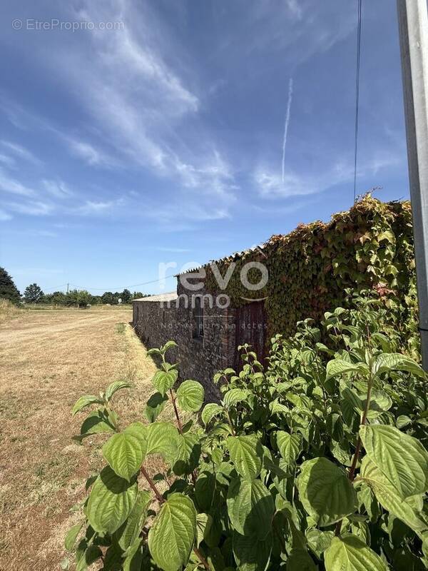 Maison à VIEILLEVIGNE