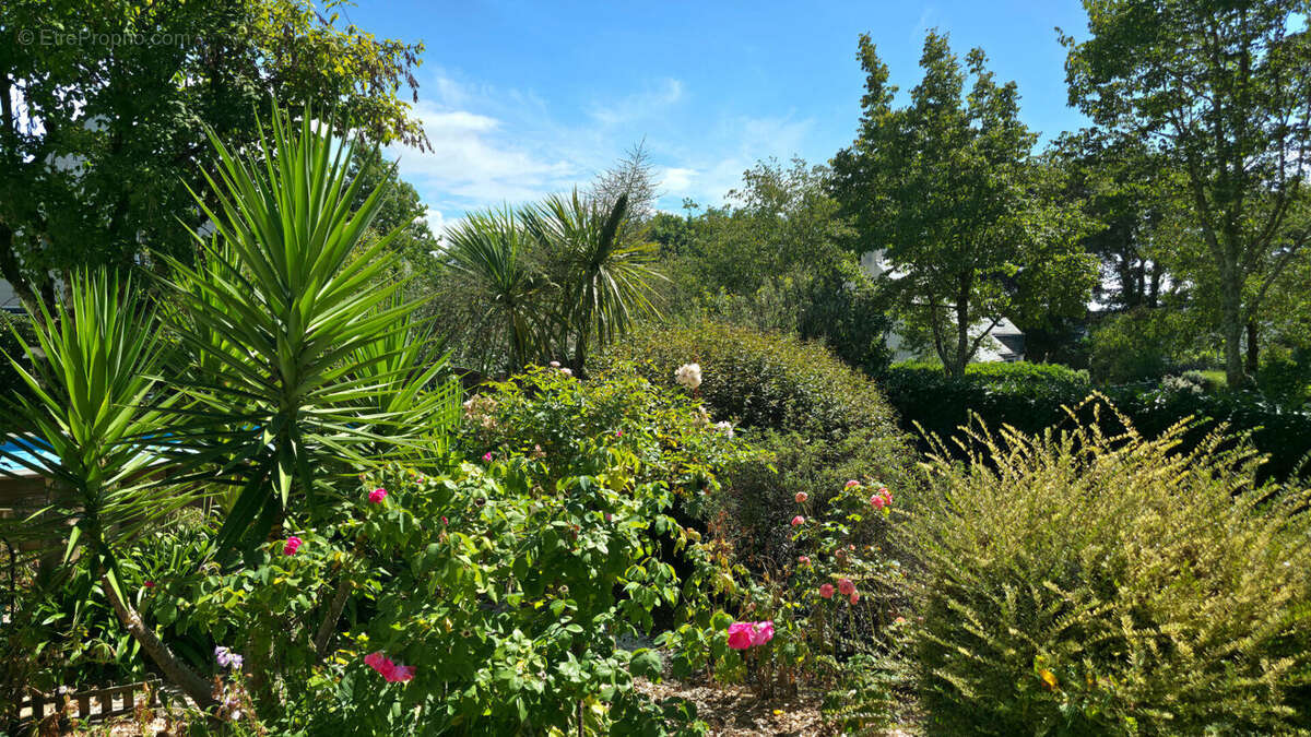 Maison à SAINT-NAZAIRE