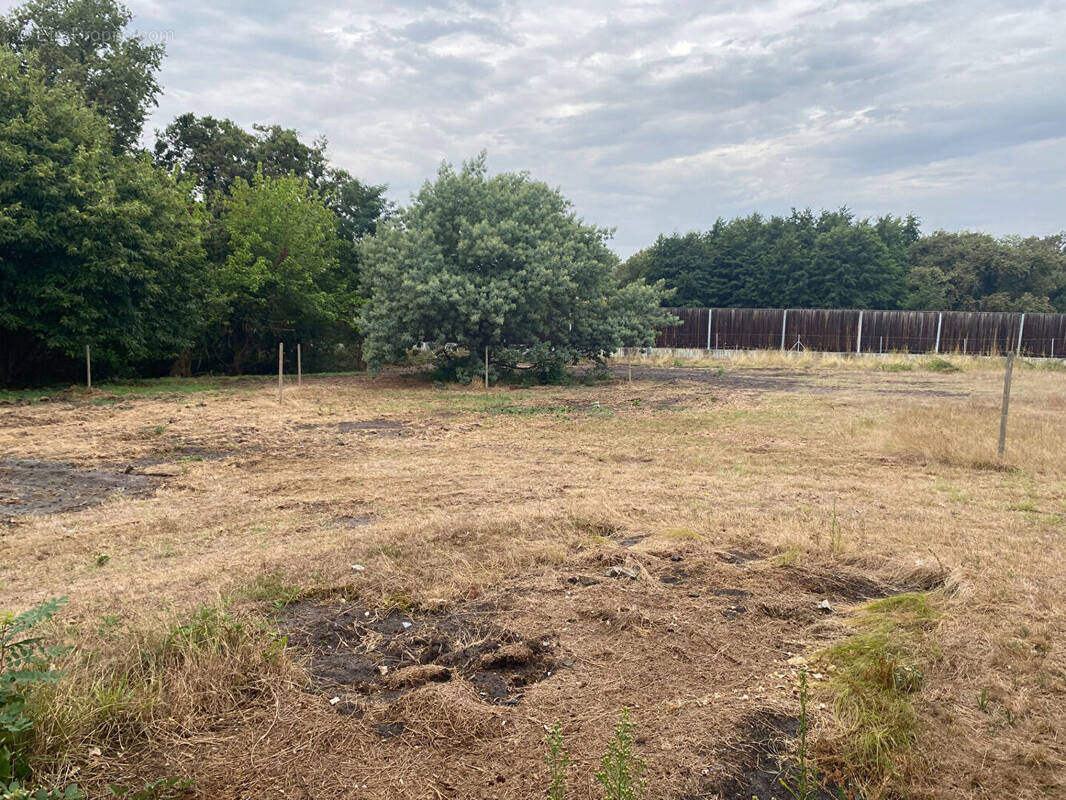 Terrain à LABOUHEYRE