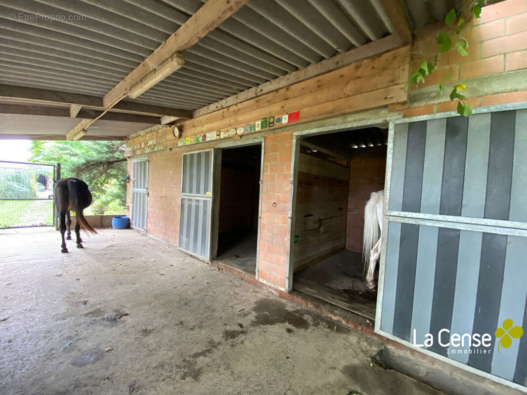 Maison à SAILLY-LEZ-LANNOY