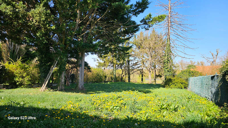 Maison à COSNE-COURS-SUR-LOIRE