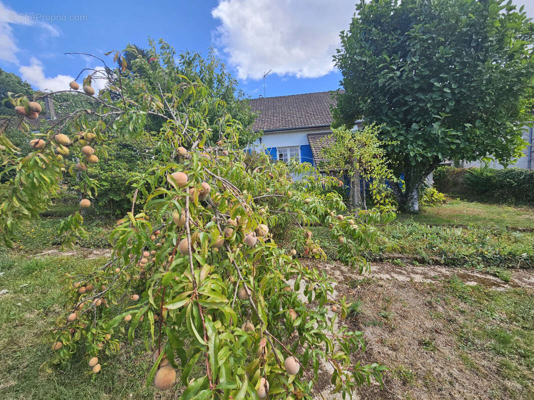 Maison à SAINT-BONNET-BRIANCE
