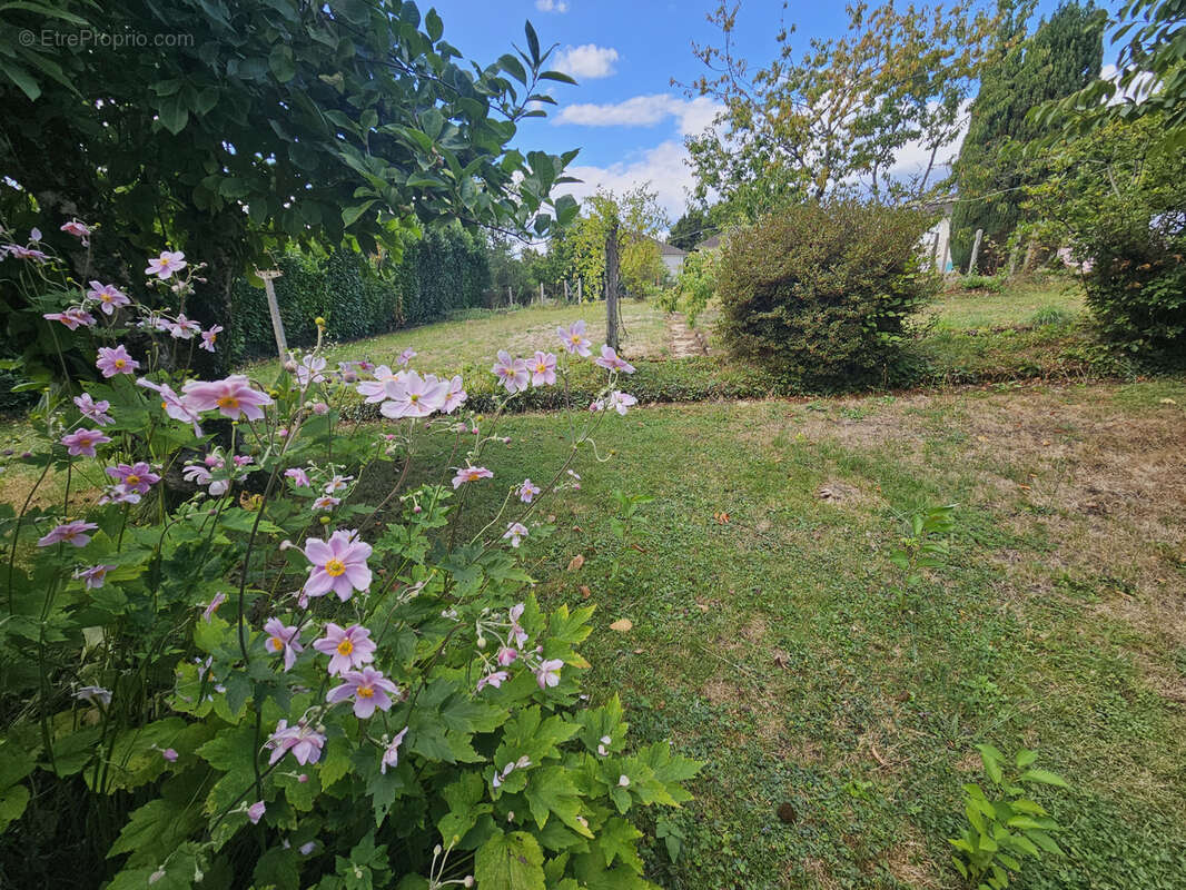 Maison à SAINT-BONNET-BRIANCE