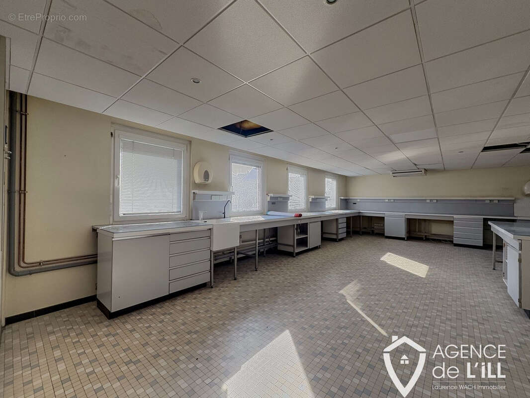 Appartement à SELESTAT