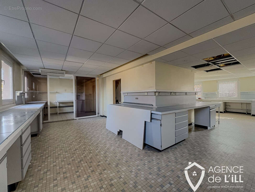 Appartement à SELESTAT