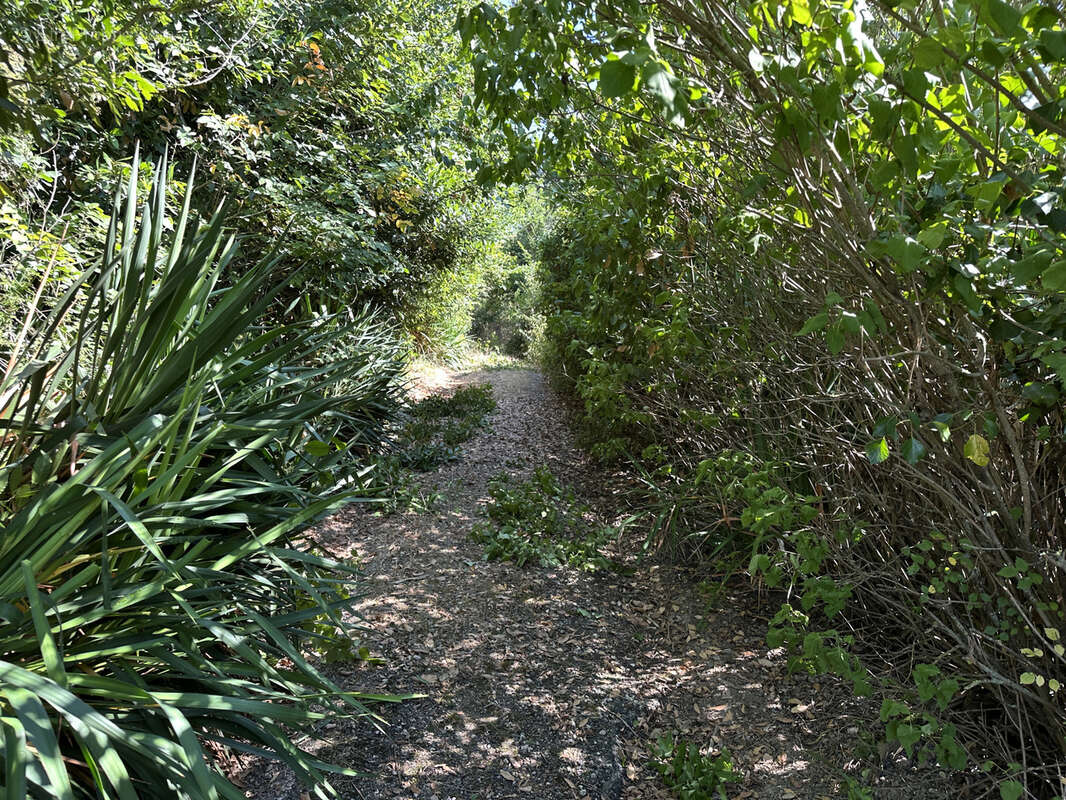 Maison à L&#039;ISLE-EN-DODON