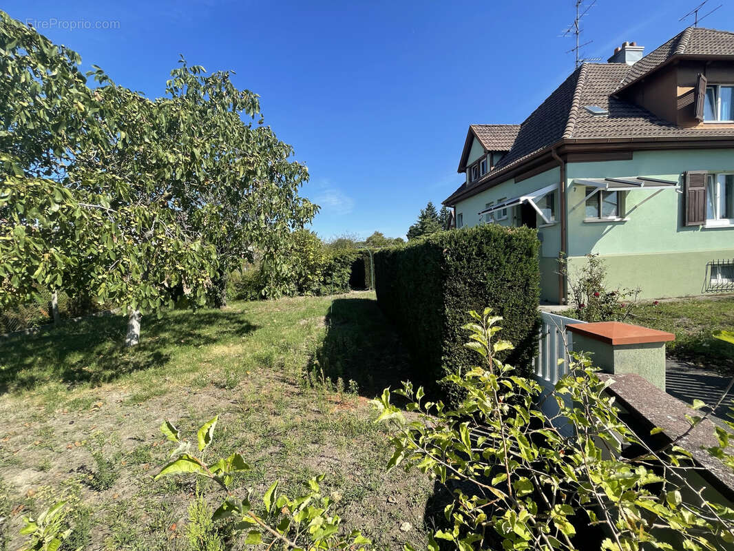 Maison à WITTENHEIM