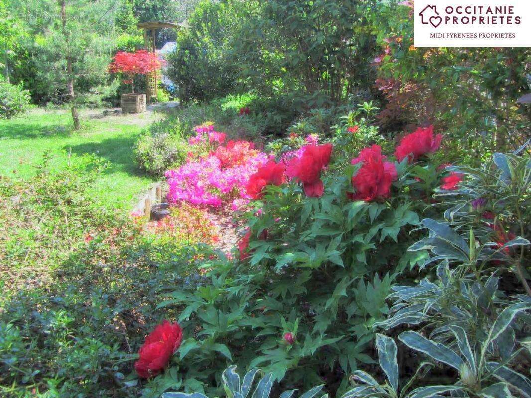 Maison à BAGNERES-DE-LUCHON