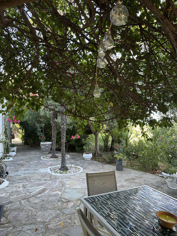 Appartement à BORGO