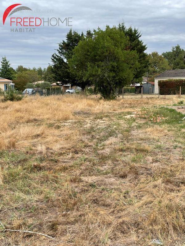 Terrain à GAURIAGUET