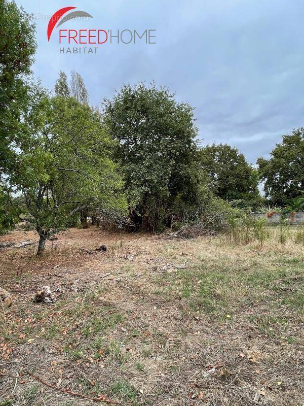 Terrain à GAURIAGUET