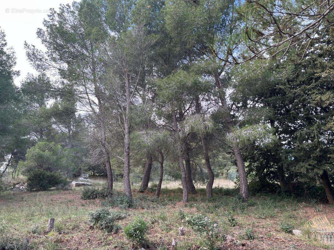 Maison à VILLEVEYRAC