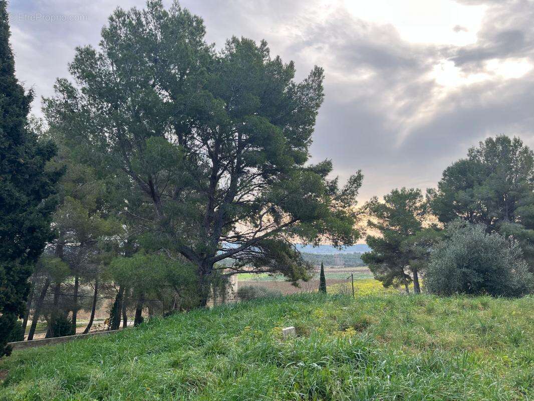 Maison à VILLEVEYRAC