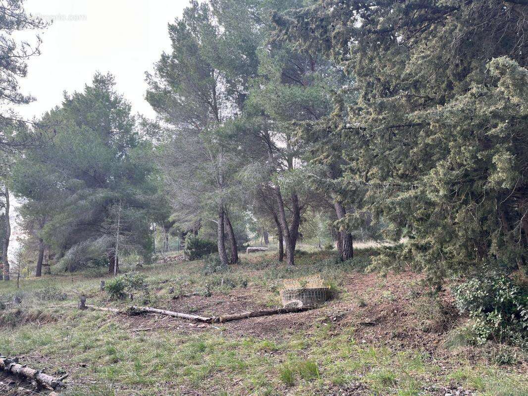 Maison à VILLEVEYRAC