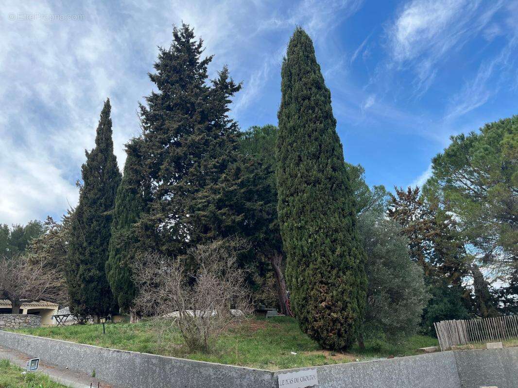 Maison à VILLEVEYRAC