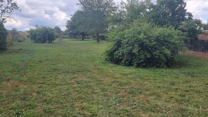 Terrain à SAINT-VALLIER