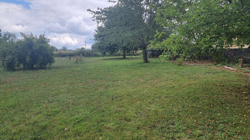 Terrain à SAINT-VALLIER