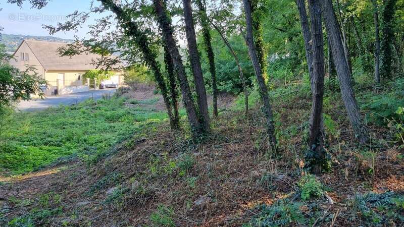 Terrain à BRIVE-LA-GAILLARDE