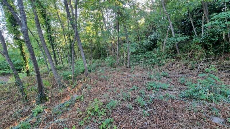 Terrain à BRIVE-LA-GAILLARDE