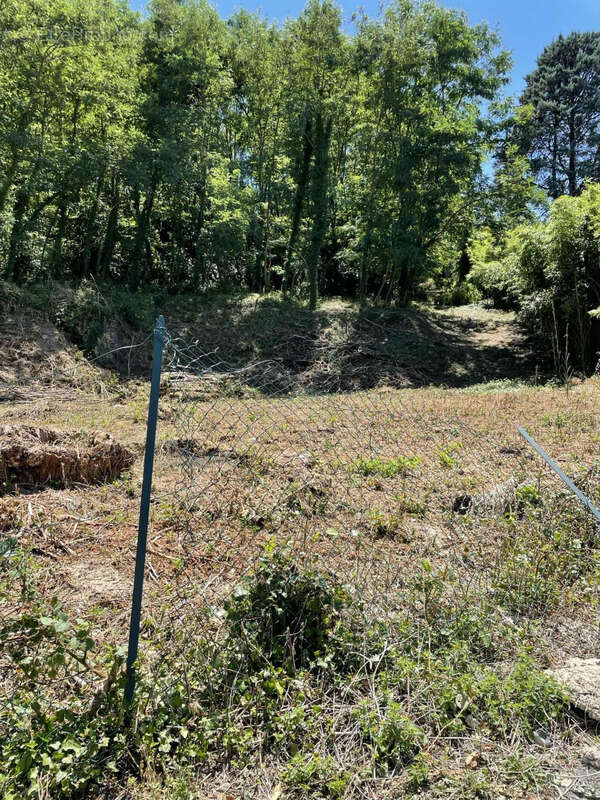 Terrain à BRIVE-LA-GAILLARDE