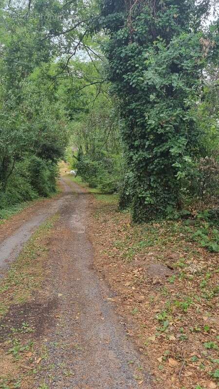 Terrain à BRIVE-LA-GAILLARDE