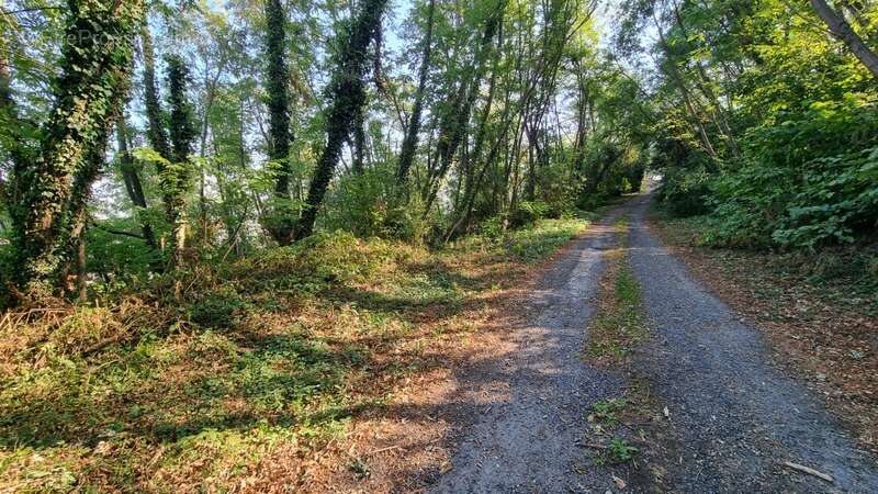 Terrain à BRIVE-LA-GAILLARDE