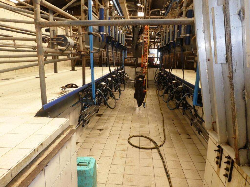 Commerce à LE SAINT