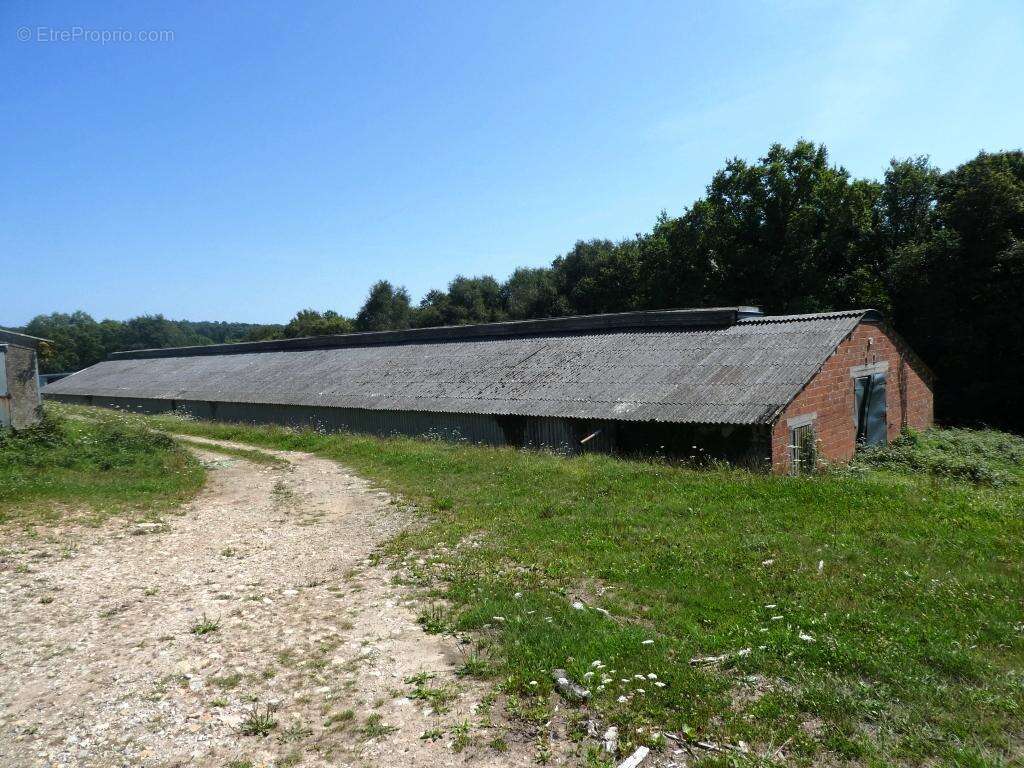 Commerce à LE SAINT