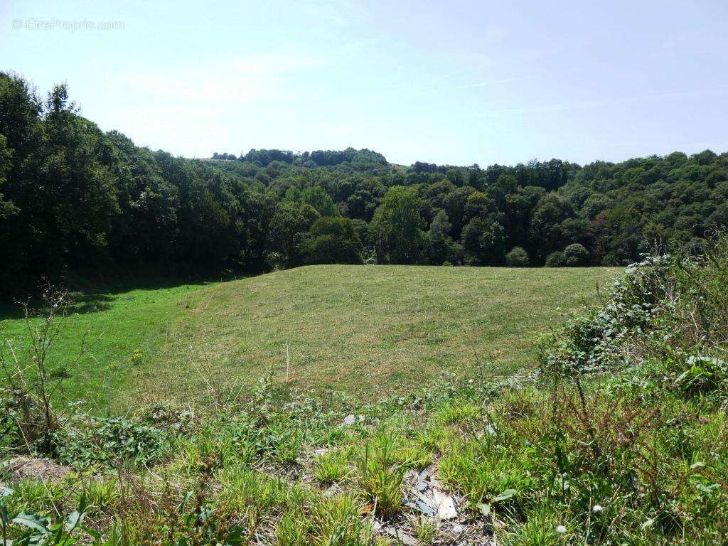 Commerce à LE SAINT