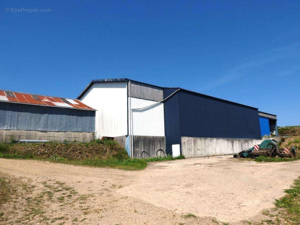 Commerce à LE SAINT