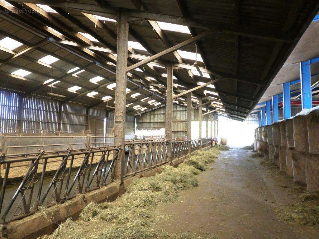 Commerce à LE SAINT