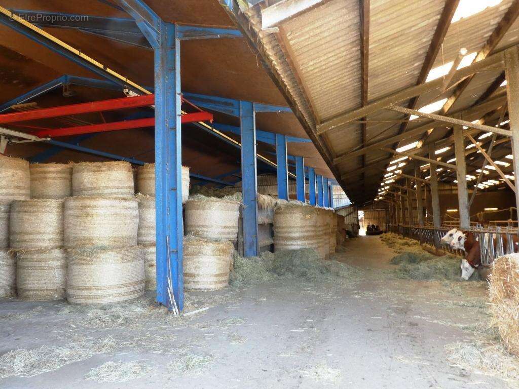 Commerce à LE SAINT