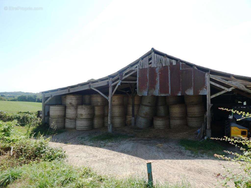 Commerce à LE SAINT