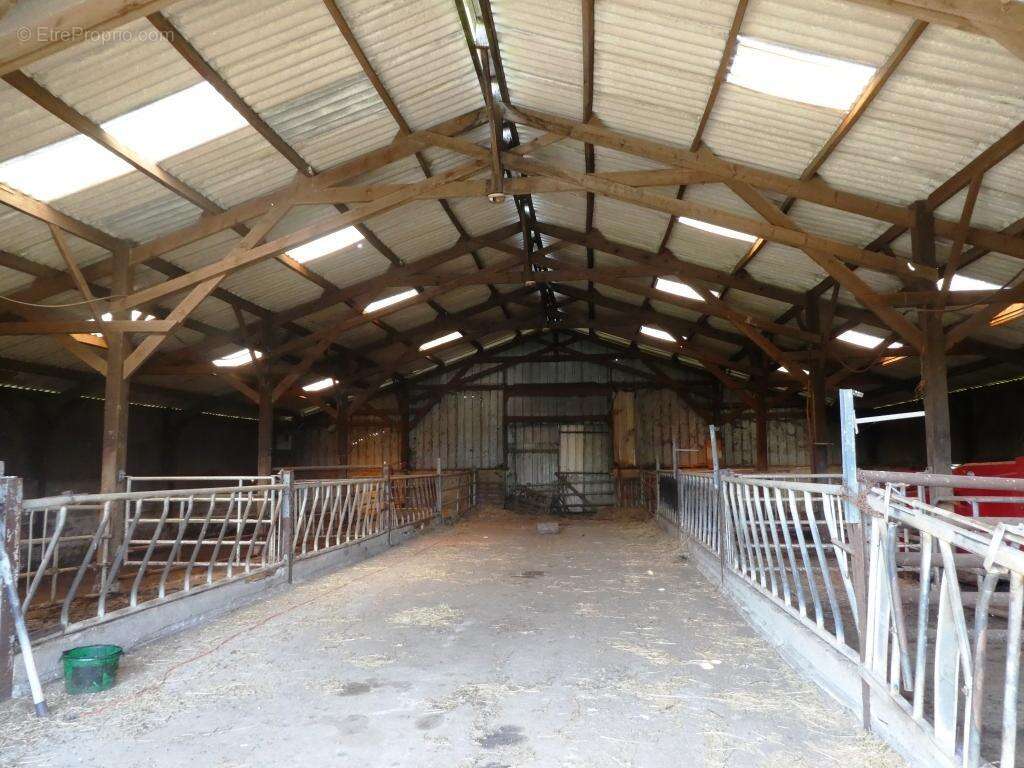 Commerce à LE SAINT