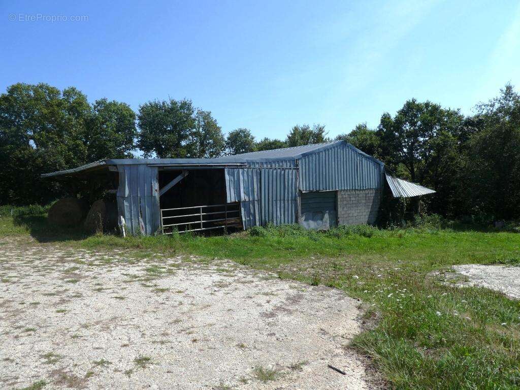 Commerce à LE SAINT