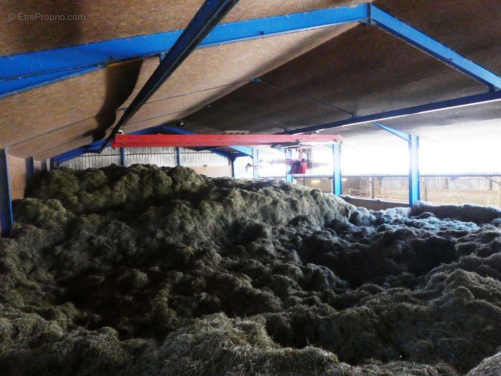 Commerce à LE SAINT