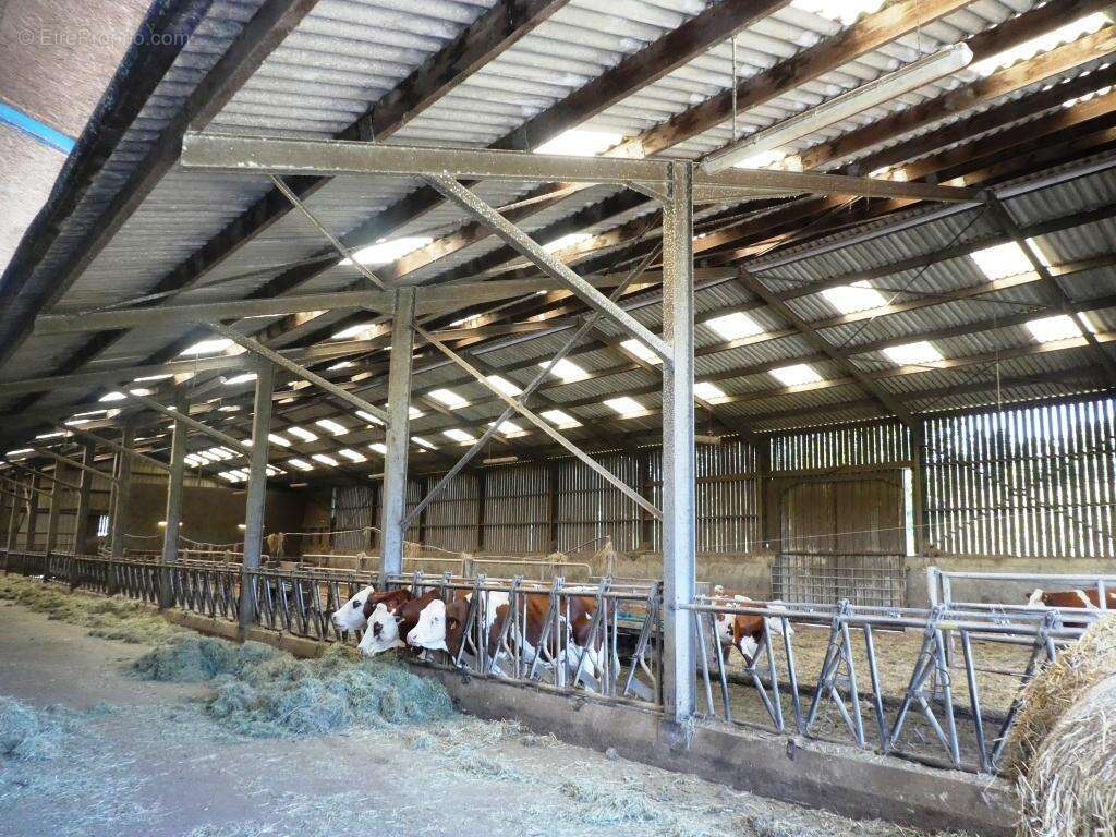 Commerce à LE SAINT