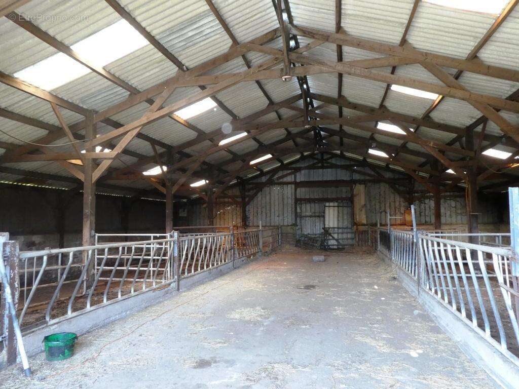 Commerce à LE SAINT