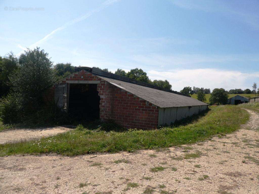 Commerce à LE SAINT