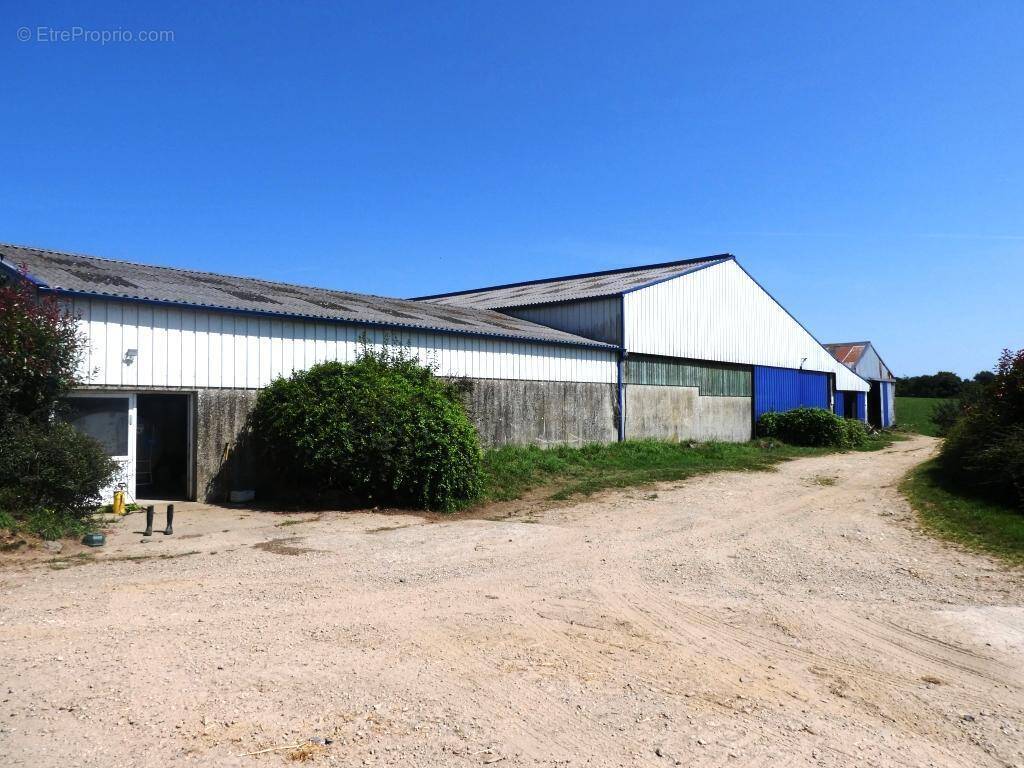 Commerce à LE SAINT